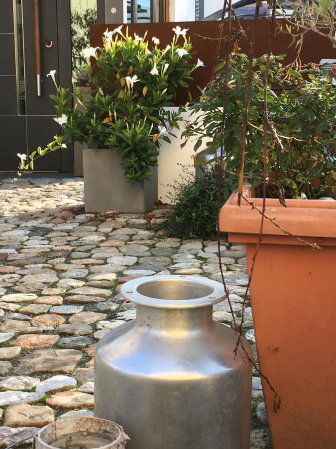 Schmuckkaestle Am Hafen Apartment วิสบาเดน ภายนอก รูปภาพ
